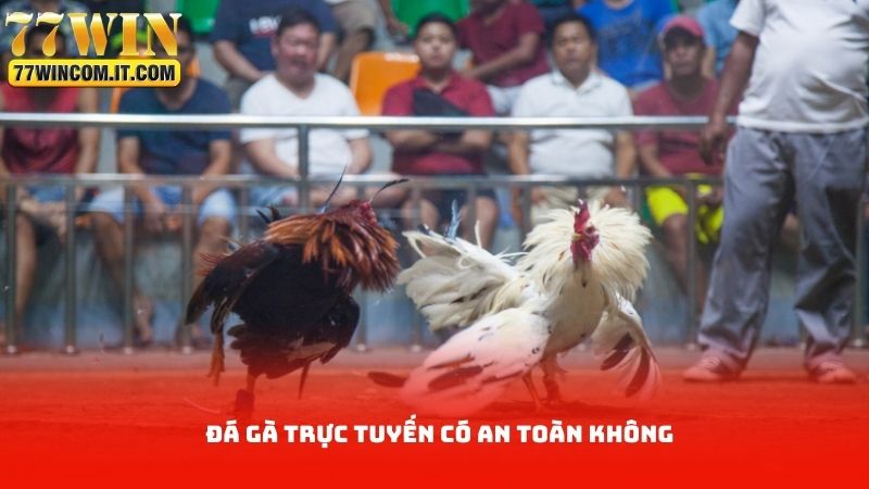 Đá Gà Trực Tuyến Có An Toàn Không