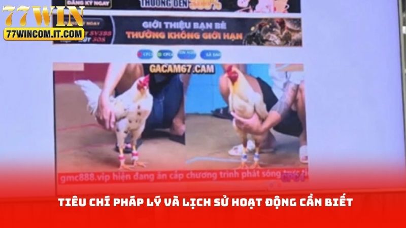 Tiêu chí pháp lý và lịch sử hoạt động cần biết